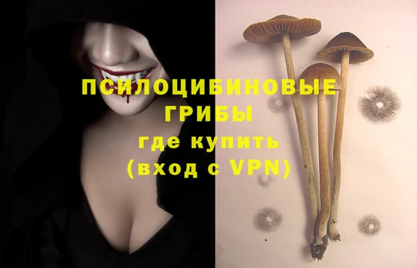 а пвп мука Балахна