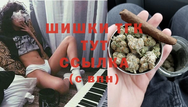 сатива Армянск