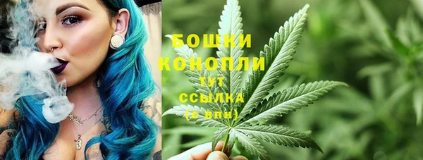 сатива Армянск